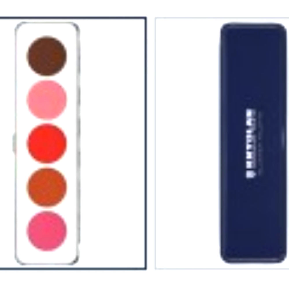 BNIB Professional Blusher palette by Kryolan 12.5g